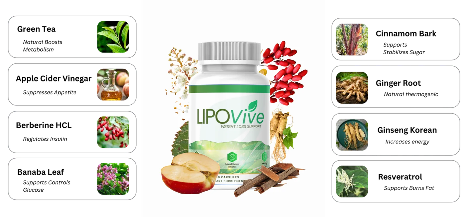 LipoVive Ingredients label